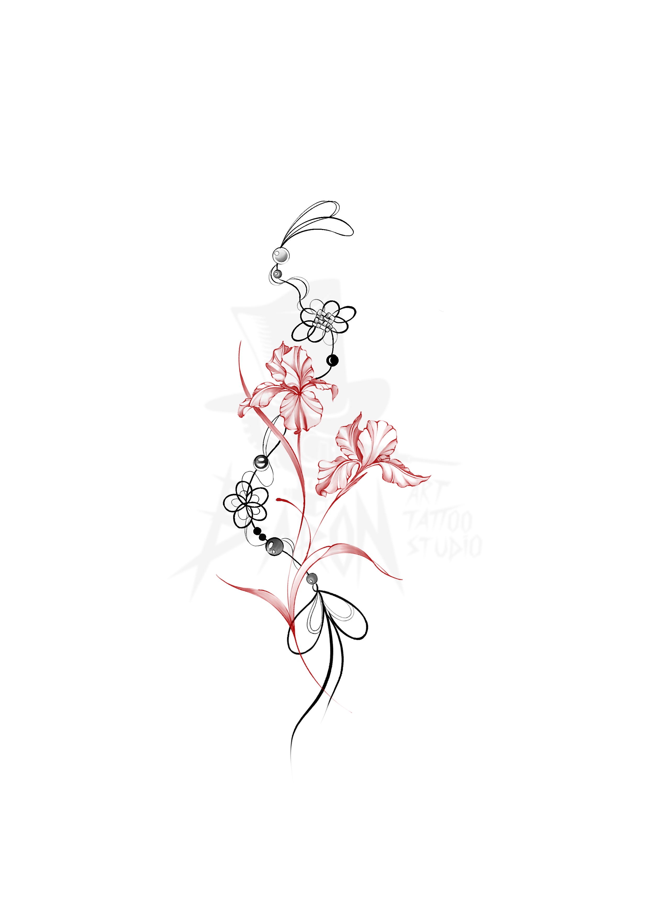 iris