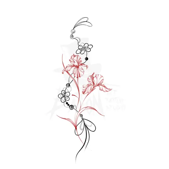 iris