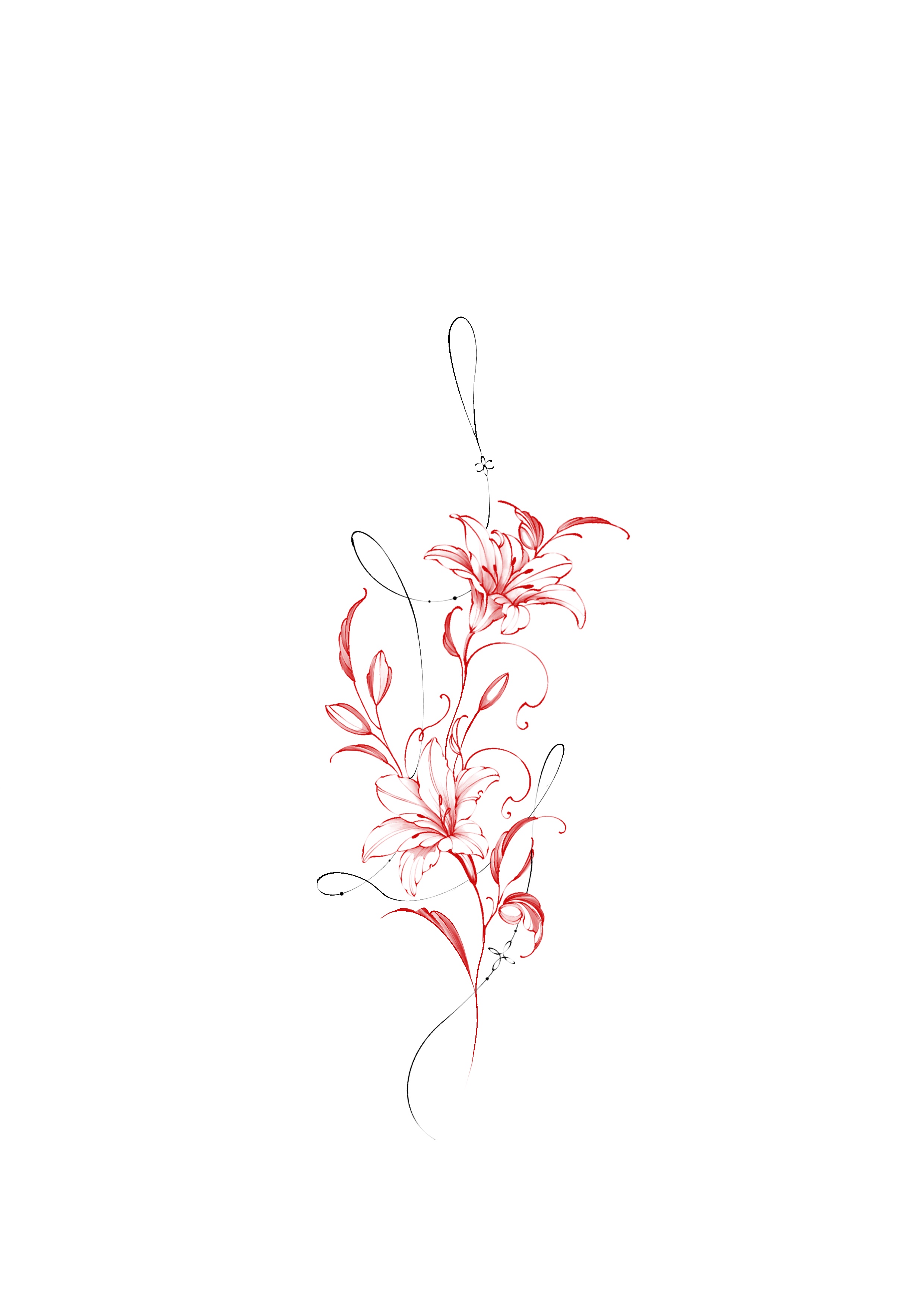 lilies