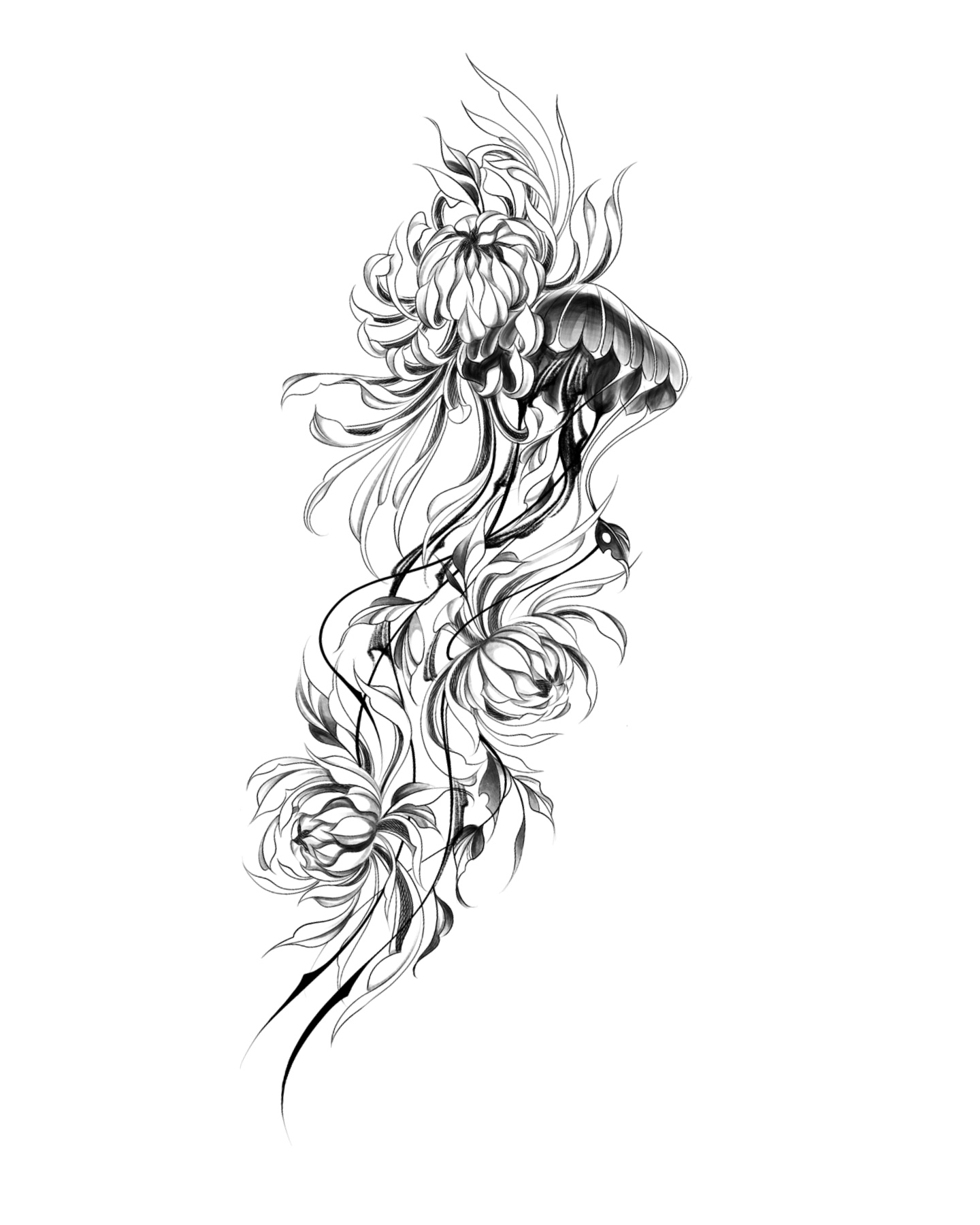 LES B30 Chrysanthemum Jellyfish