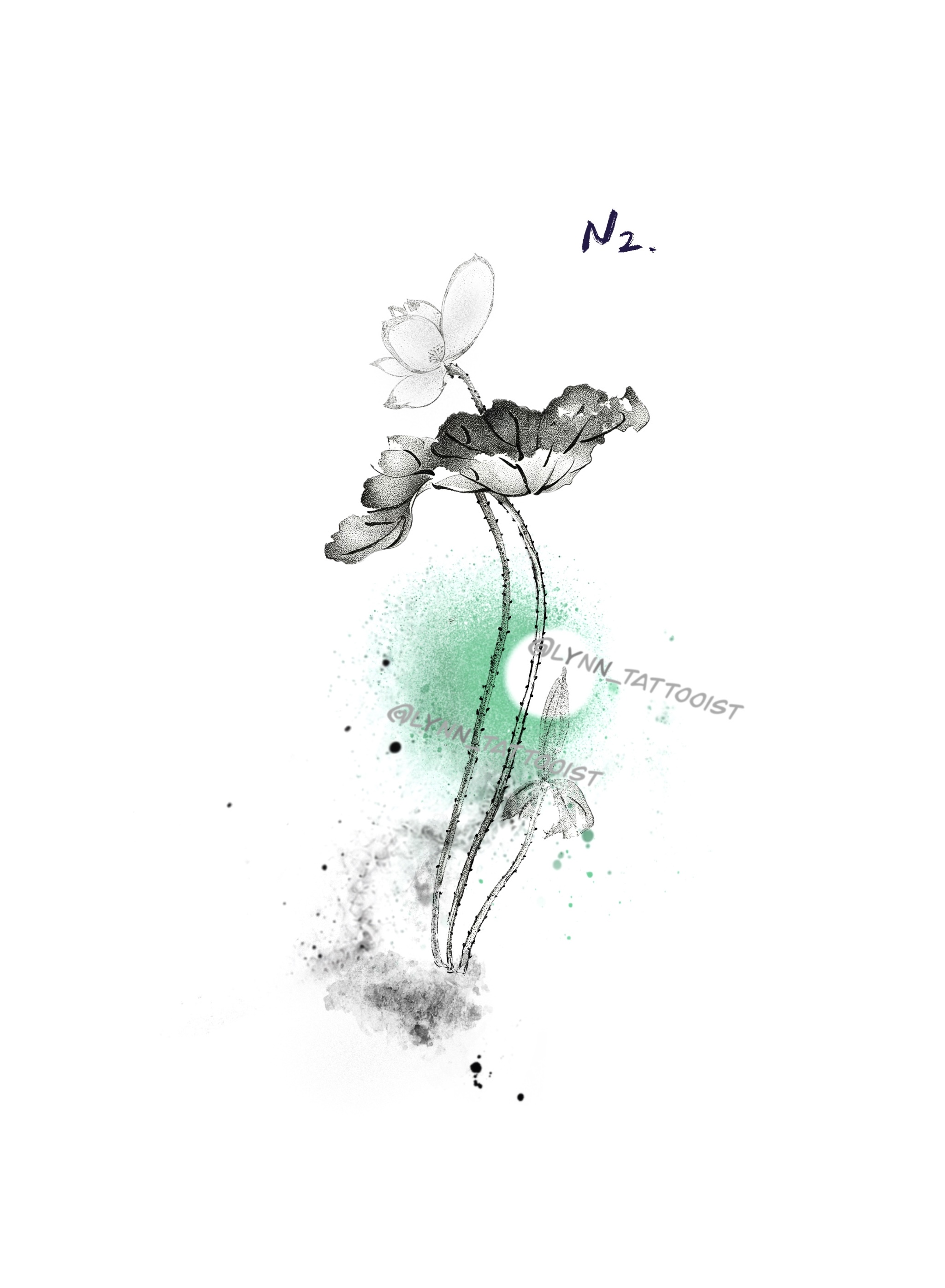 N2