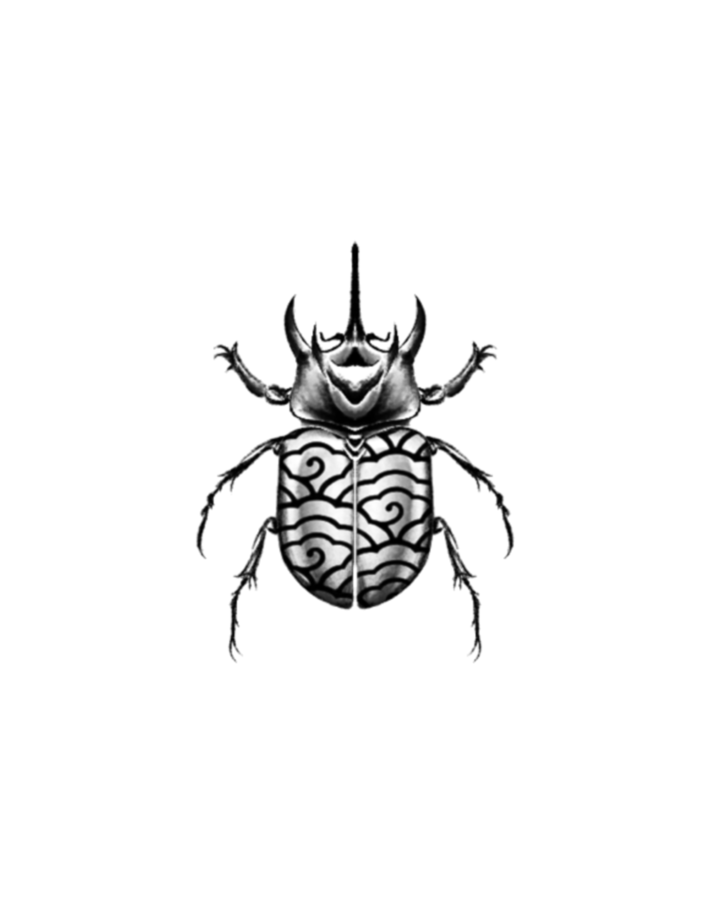 Rae Beetle 1