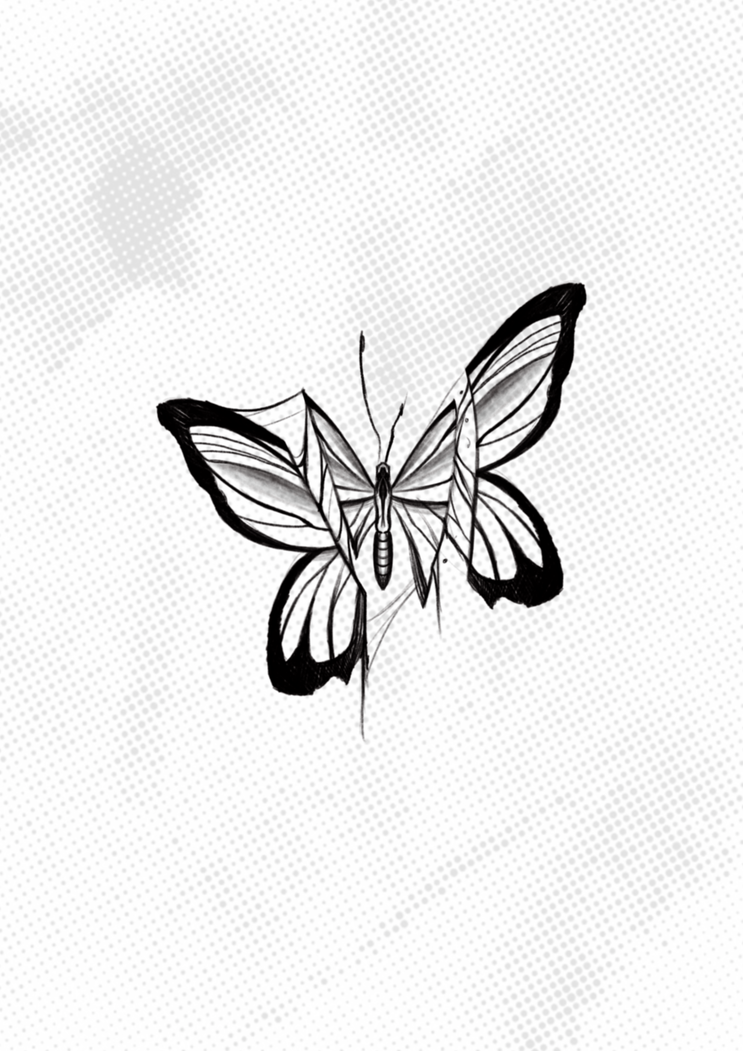 butterfly slashes