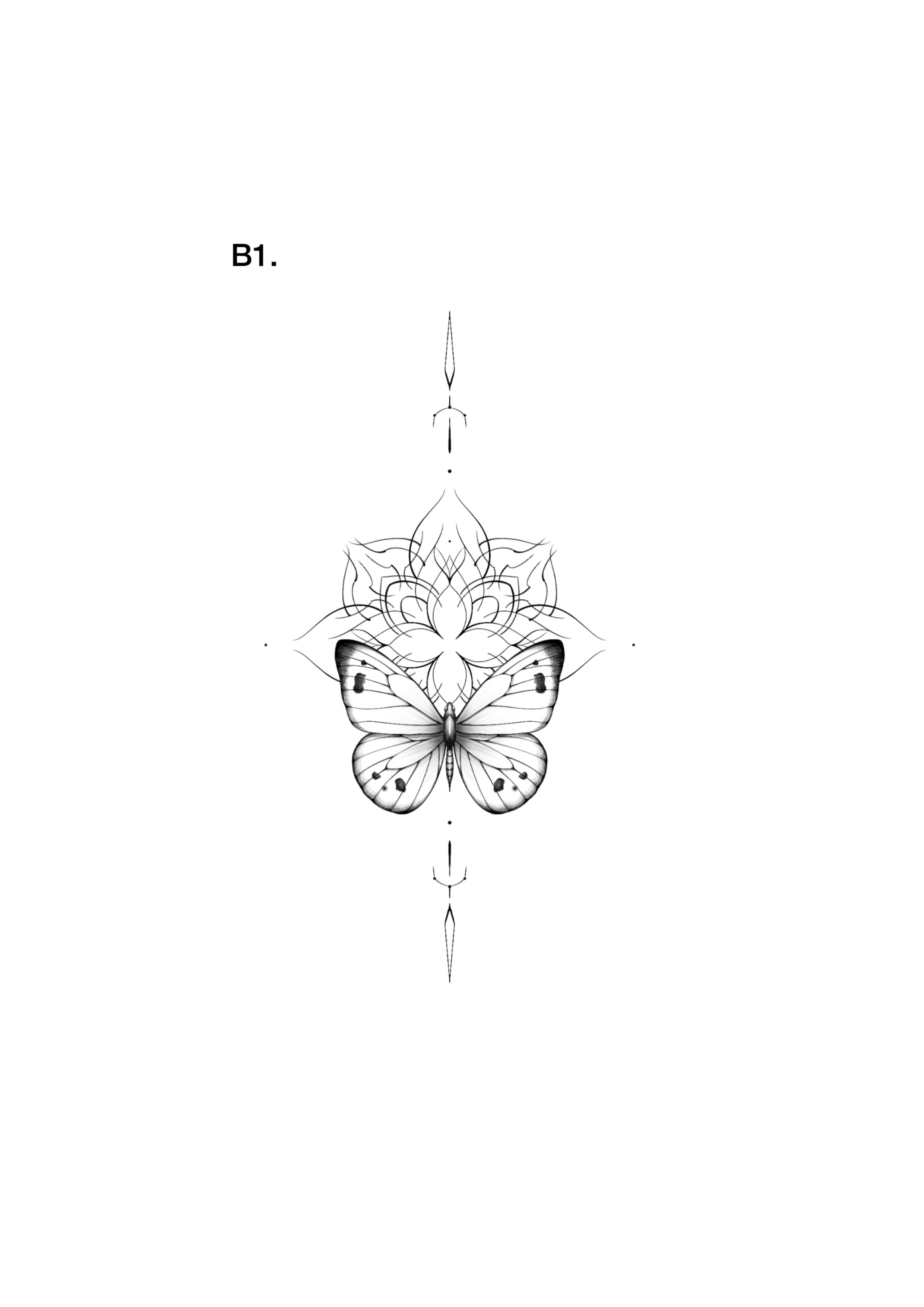 B1 butterfly with ornaments