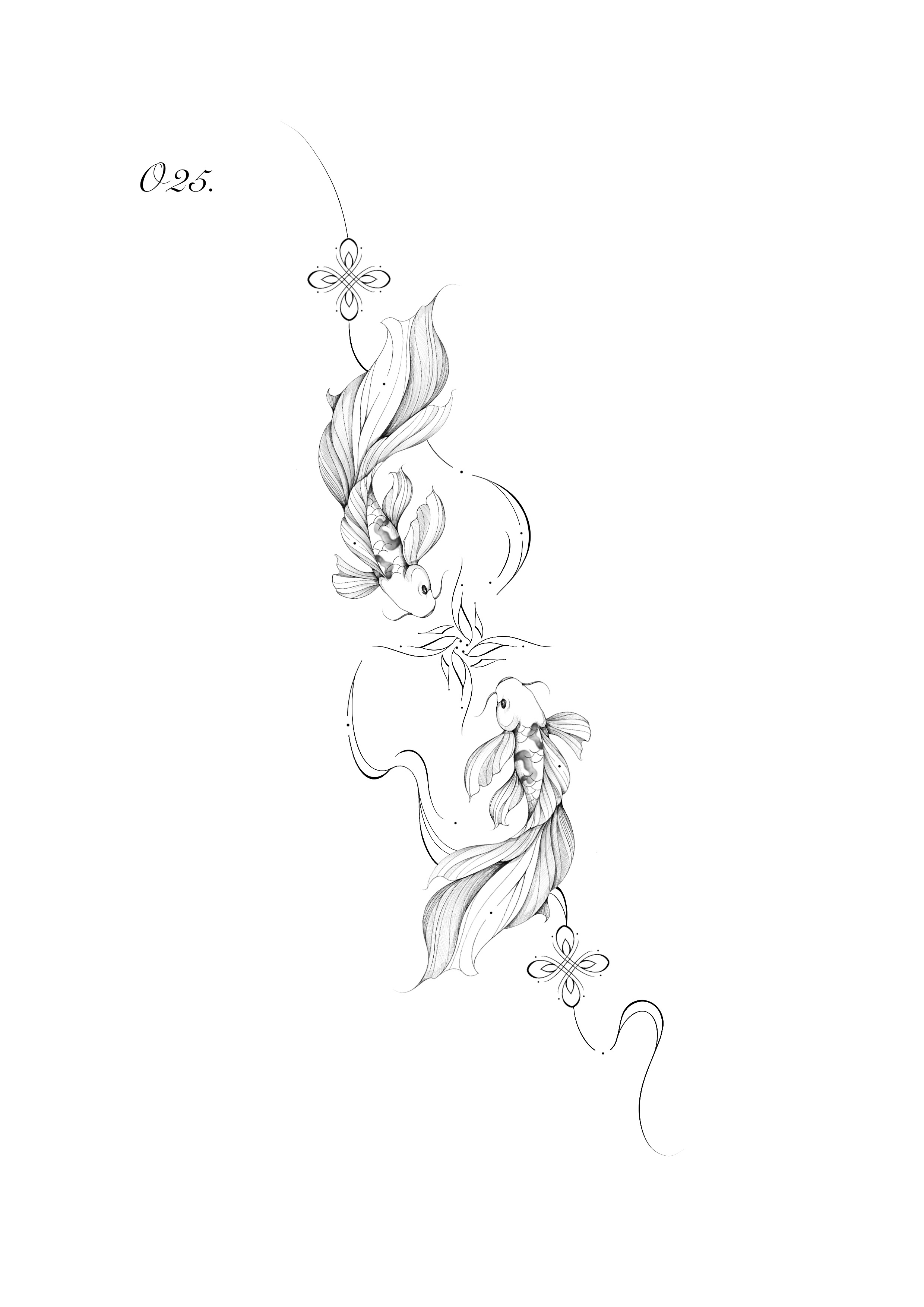 O25 koi fish flow deisgn